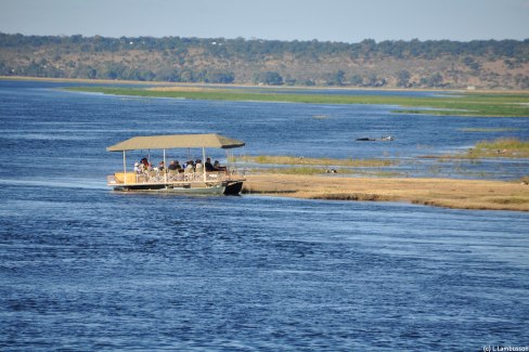 Bateau d'observation dans la réserve de Chobe
