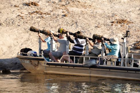 La réserve Chobe : lieu-dit de la photographie animalière