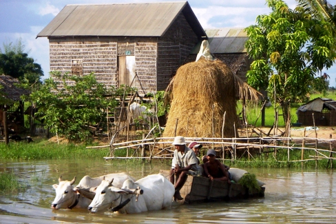 Scène de vie d’un village de la région de Battambang