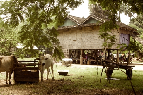 Maison familiale sur pilotis dans la province de Battambang