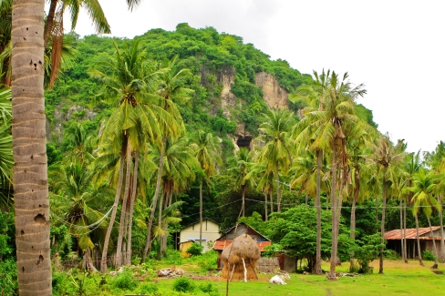 Village de la campagne de Battambang