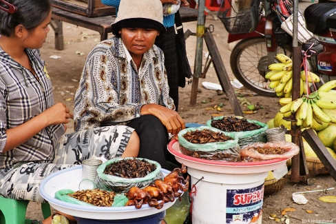 Vente d’insectes sur le marché du village de Koh Kong