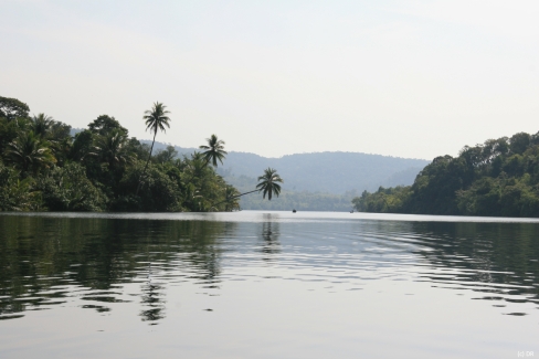 Sérénité des eaux de la rivière Tataï