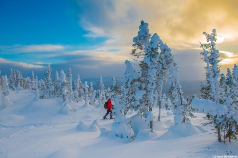 Parc national de la Gaspésie en hiver