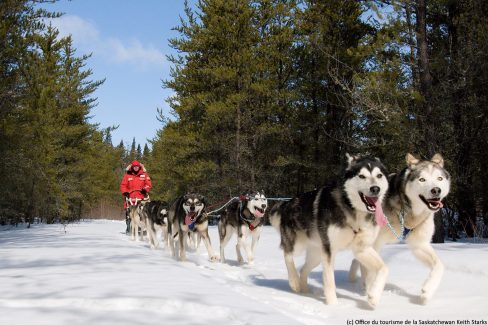 Dogsledding with Brad Muir of Sundogs Sled Excursions.