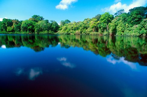 Tortuguero