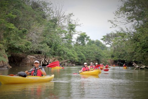 Canoe-dans-le-parc-national-de-Tortuguero