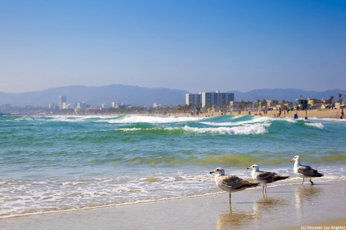 Plage de Los Angeles