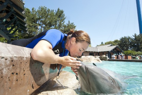 Seaworld, San Diego