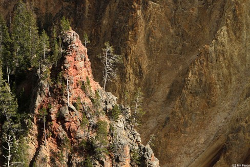 Grand Canyon de Yellowstone