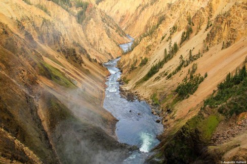Canyon de Yellowstone