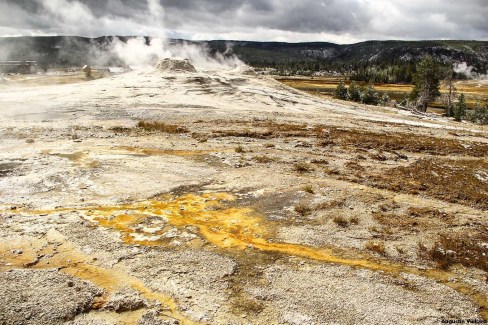 Geyser au coeur du parc national de Yellowstone
