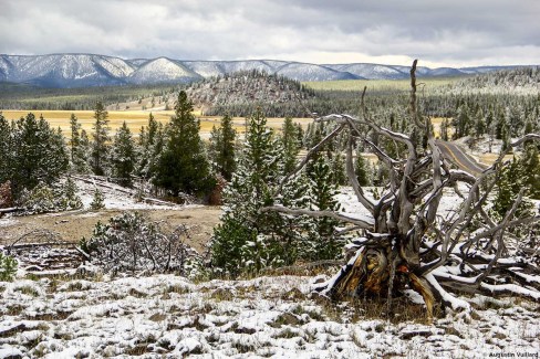 Paysage grandiose du parc de Yellowstone aux Etats Unis