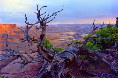 Canyonlands National Park, Utah