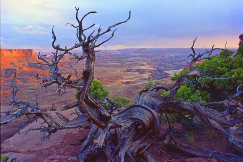 Canyonlands National Park dans l'Utah