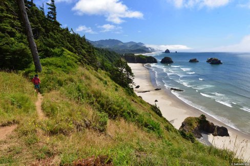 Beauté sauvage de la côte Pacifique dans l'Oregon