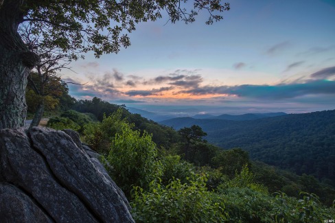 Parc national de Shenandoah, Virginie