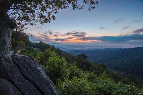 Parc national de Shenandoah, Virginie