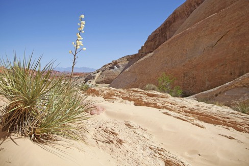 Vallée de Feu, Nevada