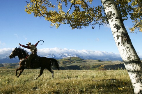 A cowboy rides hard through the fields near Telluride
