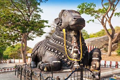 1-Nandin-Colline-de-Chamundi-Mysore