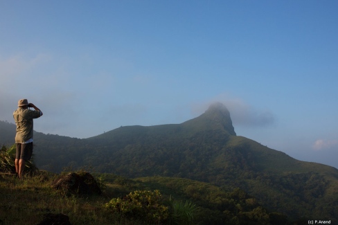 3-Ghats-Chikmagalur