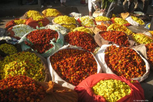 Marche-aux-fleurs