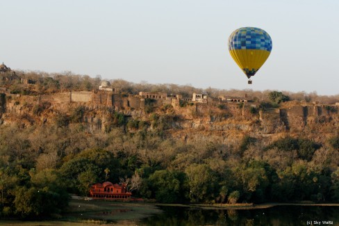 Ranthambore-1