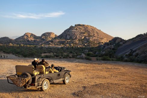 Safari-en-jeep