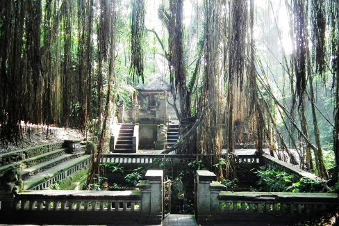 La Monkey forest à Ubud