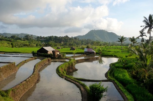 Paysage de vallée de Karangasem dans la region de Sidemen à l'est de Bali