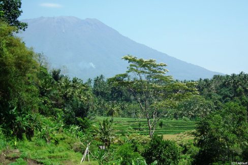 Rizières en contrebas du volcan Agung