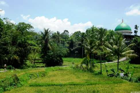 Paysages de la région de Tetebatu