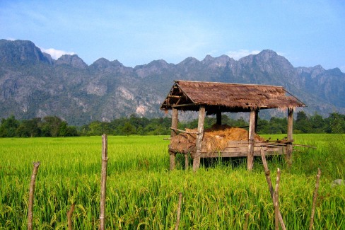 Paysages de campagne dans la région de Champassak