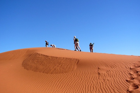 Balade dans les dunes