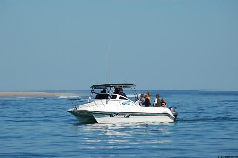 Croisiere-Walvis-Bay