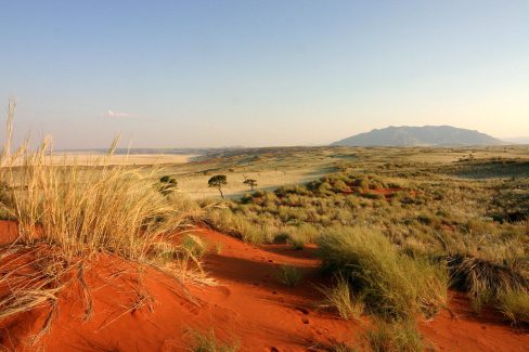 1 - Etendue sauvage en Namibie