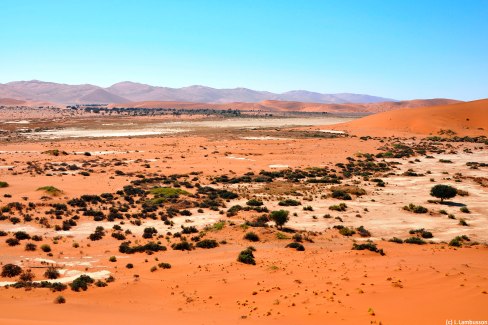 12 - Zone aride en Namibie