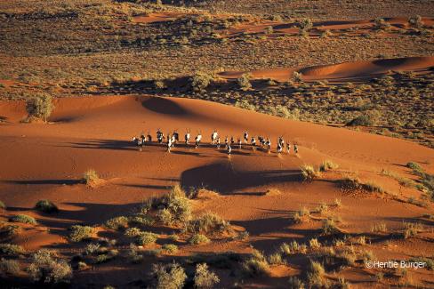 3 - Deserts Kalahari