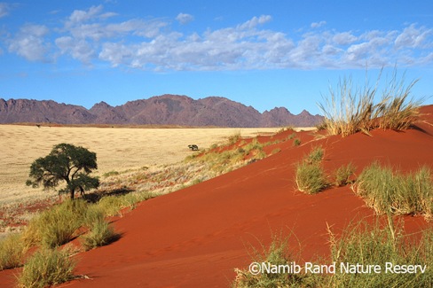 4 - contraste naturel en Namibie