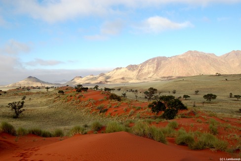 7 - Paysage sauvage Namibie