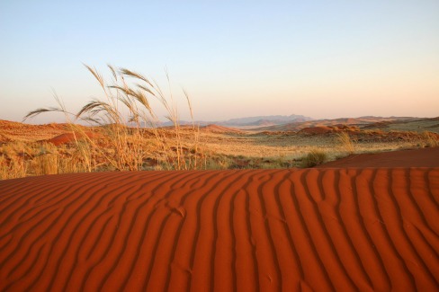 8 - Balade dans les dunes