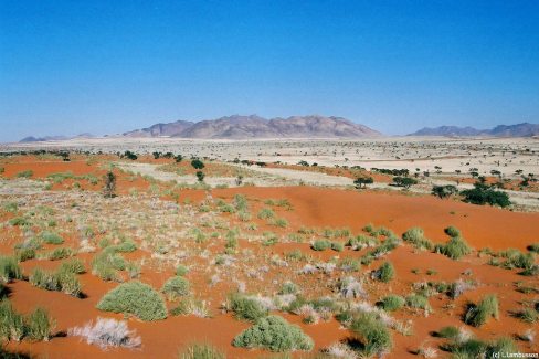 9 - grands espaces sauvages de Namibie