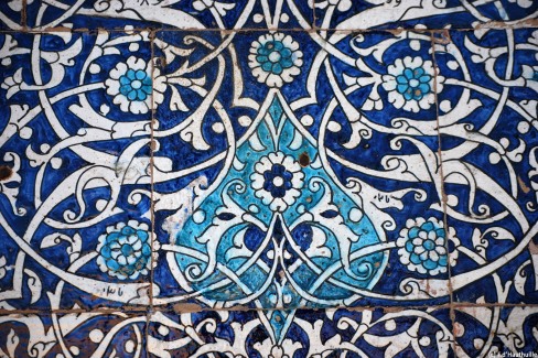 DSC_5082-web