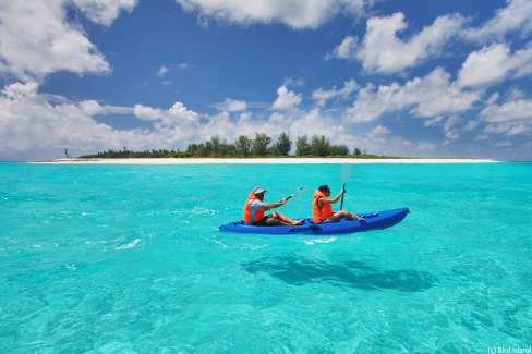 Kayak-sur-Bird-Island