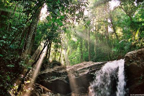 Cascade-dans-la-jungle