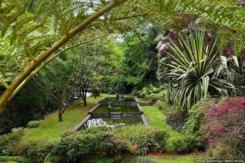 Le parc de Terra Nostra, sur l'île de São Miguel