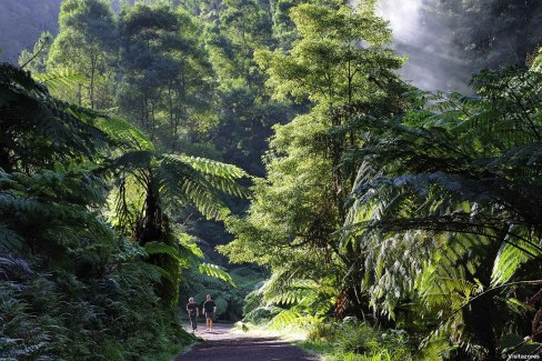 Randonnée sur l'île de São Miguel