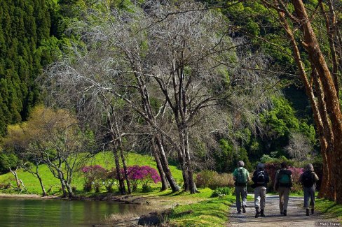 Randonnée autour du lac de Furnas, sur l'île de São Miguel