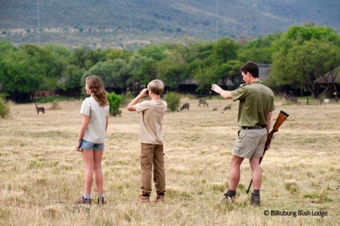 Observation aux jumelles dans la savane au Pilanesberg